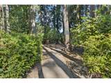 2014 50TH Way - Photo 36