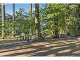 2014 50TH Way - Photo 38