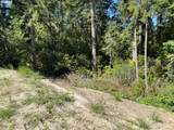  Munsel Lake Rd - Photo 5