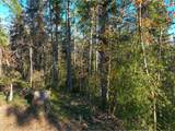 2645 Cupola Dr - Photo 4