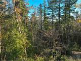 2645 Cupola Dr - Photo 6