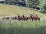 89616 Ben Bunch Rd - Photo 15