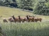 89616 Ben Bunch Rd - Photo 46