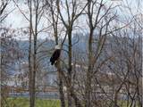 2056 River Rd - Photo 20