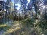 27181 Frys Ln - Photo 31