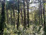 27181 Frys Ln - Photo 32