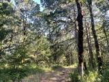 27181 Frys Ln - Photo 35