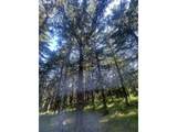 27181 Frys Ln - Photo 36