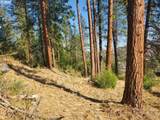002 Alder - Photo 15