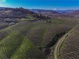 3699 Skyline Rd - Photo 10