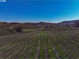 3699 Skyline Rd - Photo 14