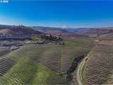 3699 Skyline Rd - Photo 6