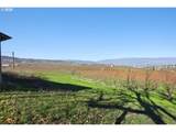 3699 Skyline Rd - Photo 7