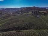 3699 Skyline Rd - Photo 8