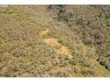 0 Willis Creek Rd - Photo 5