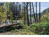 47983 Mckenzie Hwy - Photo 10