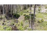 47983 Mckenzie Hwy - Photo 12