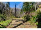 47983 Mckenzie Hwy - Photo 19