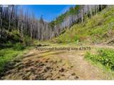 47983 Mckenzie Hwy - Photo 21
