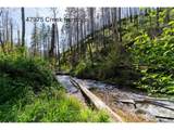 47983 Mckenzie Hwy - Photo 22