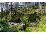 47983 Mckenzie Hwy - Photo 23