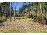 47983 Mckenzie Hwy - Photo 8