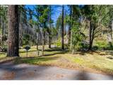 47983 Mckenzie Hwy - Photo 9