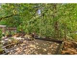 14868 Fawnlily Dr - Photo 17