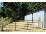 35606 Coy Creek Rd - Photo 43