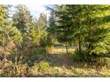 22308 Sandridge Rd - Photo 19