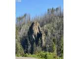 49513 Mckenzie Hwy - Photo 14