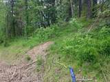 0 Willis Creek Rd - Photo 4