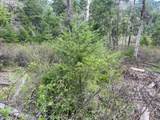  Bear Spring Rd - Photo 10