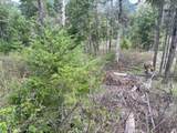  Bear Spring Rd - Photo 11