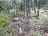  Bear Spring Rd - Photo 13