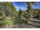 Bear Spring Rd - Photo 24
