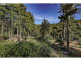  Bear Spring Rd - Photo 25
