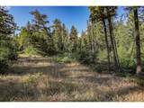  Bear Spring Rd - Photo 27