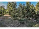  Bear Spring Rd - Photo 28