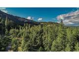  Bear Spring Rd - Photo 3