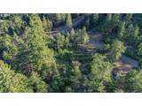  Bear Spring Rd - Photo 37