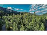  Bear Spring Rd - Photo 39
