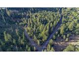  Bear Spring Rd - Photo 40