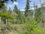  Bear Spring Rd - Photo 9