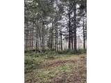 89798 Medohill Ln - Photo 3