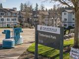 300 116TH Ave - Photo 46