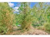 77383 Mosby Creek Rd - Photo 46