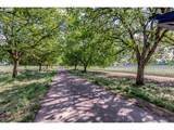 13750 Locks Loop Rd - Photo 13