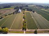13750 Locks Loop Rd - Photo 2