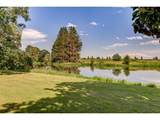 13750 Locks Loop Rd - Photo 24